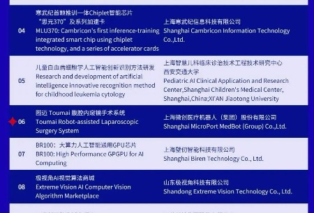 圖邁?榮獲2022世界人工智能大會最高獎項“SAIL獎”