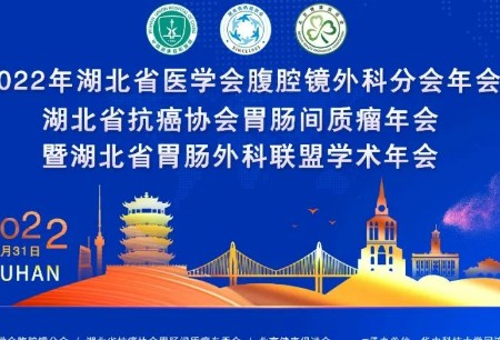 學術(shù)之聲 | 微創(chuàng)?圖邁?亮相2022湖北省醫(yī)學會腹腔鏡外科分會年會，試駕體驗廣受贊譽